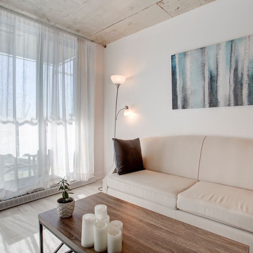 Appartement à louer, Montréal (Le Sud-Ouest) - Photo 1
