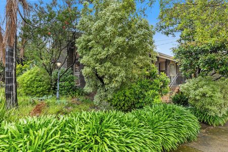 Perfect Family Home in a Prime Ashwood Location - Photo 2