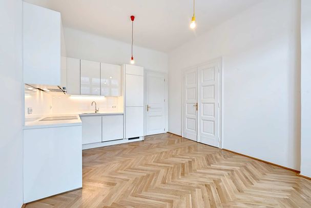 Altbau Mietwohnung 1080 Wien, Nähe Laudongasse - Foto 1