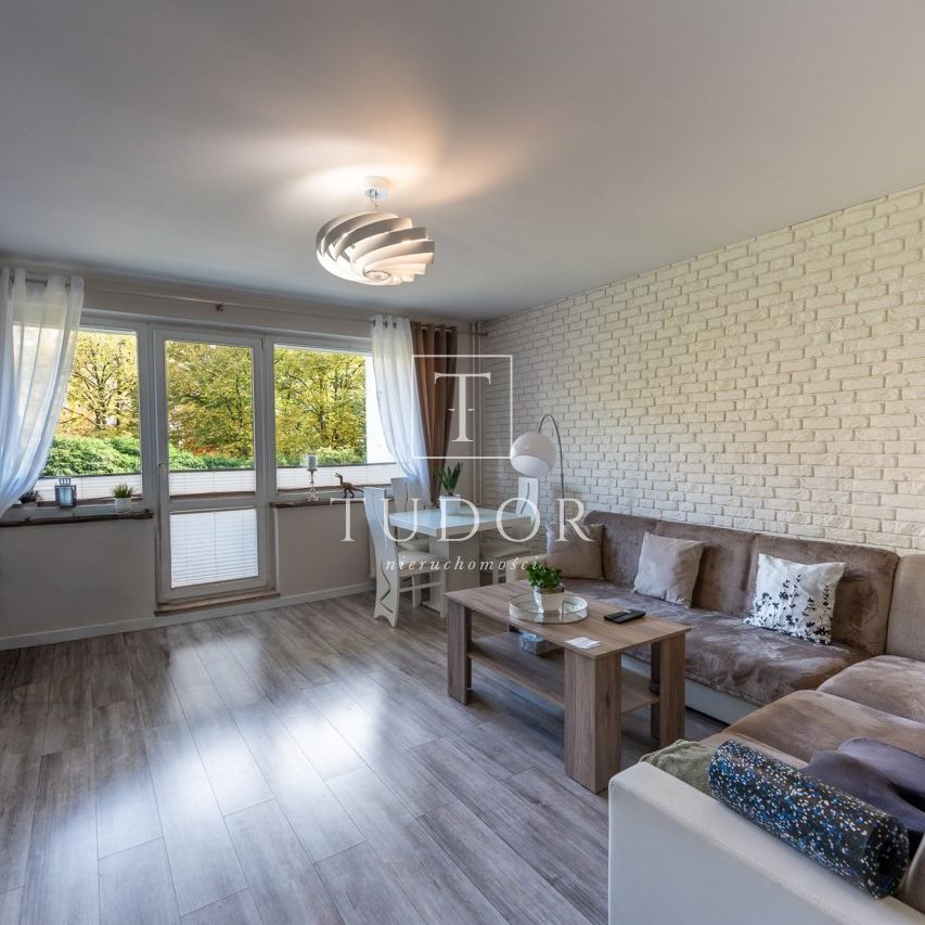 Szczecin, Zdroje - Zdjęcie 1