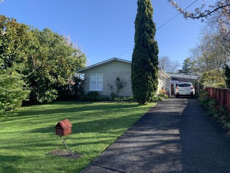18 Milne Street Marton - Photo 2