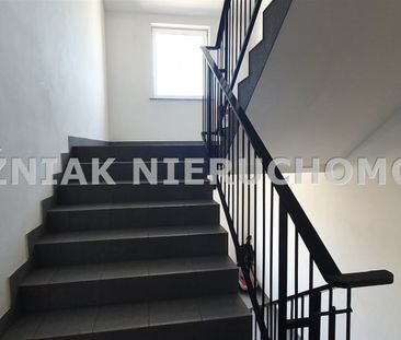 Czarny Bór Mieszkanie na wynajem - Photo 1