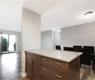 2 Bed, 2 Bath Lower Mission - Photo 3