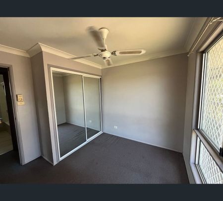 372 Feez Street, Norman Gardens, Qld 4701 - Photo 3