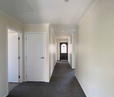 Big and Beautiful - Photo 3