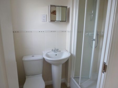 Water Meadow Way, Downham Market - Photo 5