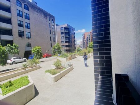 6 Cowper Street, Sydney - Photo 5