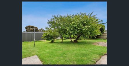 Affordable Coastal Living - Photo 4