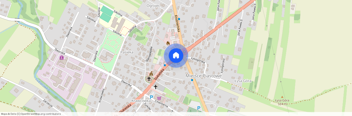 Miejsce Piastowe, Targowiska