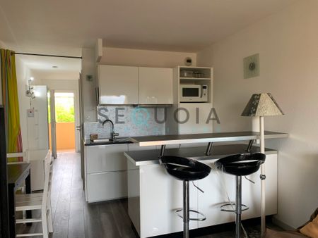 Location Appartement 1 pièce 30m² ANTIBES 06600 - Photo 4