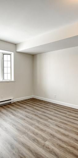 Appartement 3 ½ à louer Sainte-Foy / Sillery novembre 2025 - Photo 1