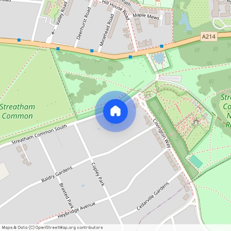 Streatham Common South, Streatham Common