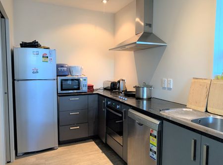 Unit 6D, 73 Buccleugh Street, North East Valley, Dunedin - Photo 2
