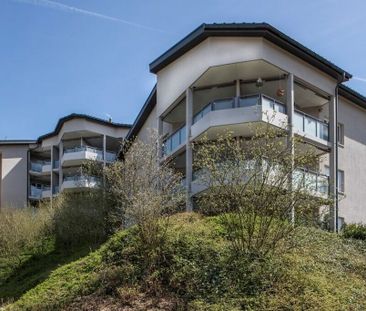 Dream home on the Reuss River - Foto 6