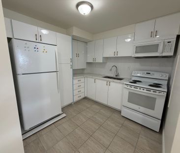 For Lease - 61 Eagleglen Way Unit# Bsmt, Hamilton, Ontario - Photo 2