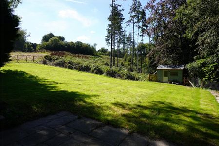 3 bedroom detached house to rent - Photo 4