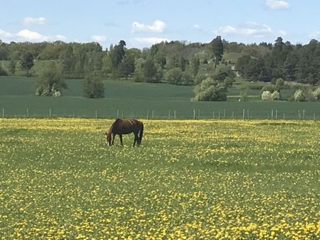 Granitvägen 10b - Photo 3