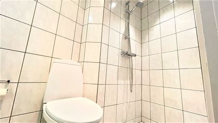 Stor, lys 3-værelses lejlighed - Photo 4