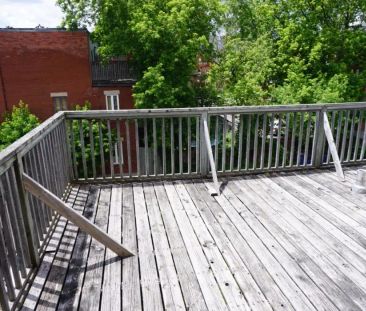 66 Russell Ave. — 1 Bedroom - Photo 3