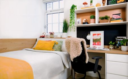 SHARED STUDIO: TWO BED ROOM - Photo 3
