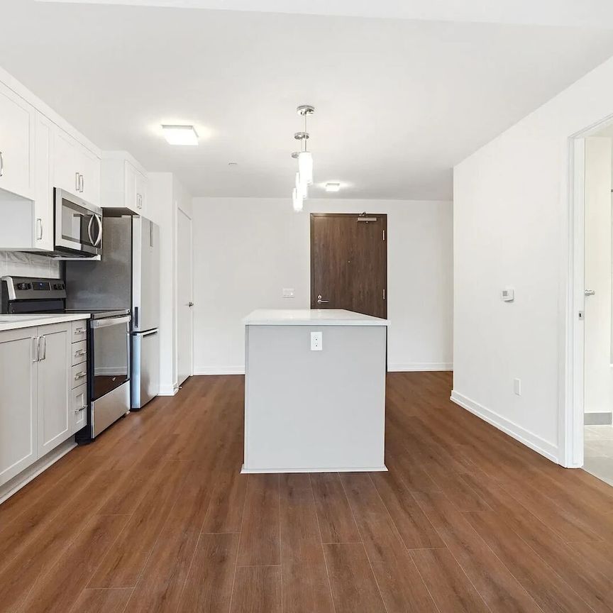 10 Des Oblats Avenue, Old Ottawa East, Ottawa, ON - Photo 1