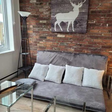 Beau 3,5 frais peinturer avec terrasse sur le toit - Photo 4