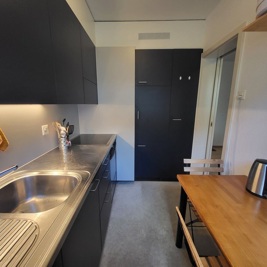 APPARTEMENT 21/2 PIÈCES À BERNE - FELSENAU, MEUBLÉ, TEMPORAIRE - Photo 1