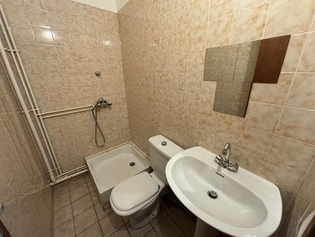 TOULOUSE / Location Appartement 1 Pièce 25 m² - Photo 5