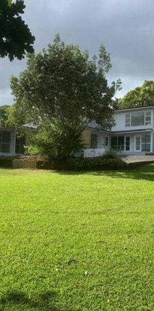 Fully renovated units - Photo 1