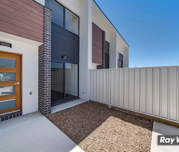 67/2 Rouseabout Street, Lawson ACT 2617 - Townhouse For Rent | Domain - Photo 5