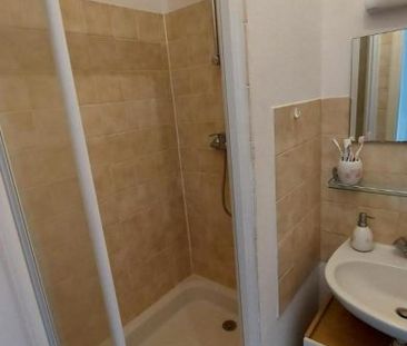 Appartement à louer, 1 pièce - Angers 49100 - Photo 5