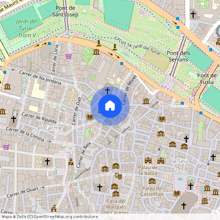 Carrer del Pintor Fillol, Valencia, Valencian Community 46003