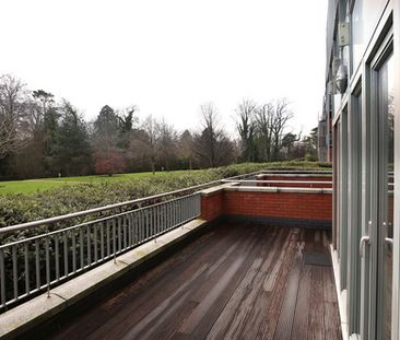 Cedar Lodge, Farmleigh Woods, Castleknock, Dublin 15, D15 K584 - Photo 4