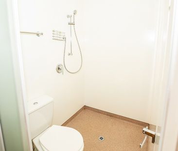 47 Park Street, North Dunedin - Photo 6