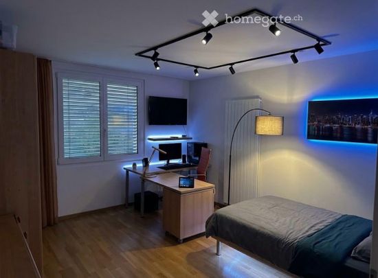 Neu renovierte Wohnung neben Grotto Broggini Losone - Photo 1