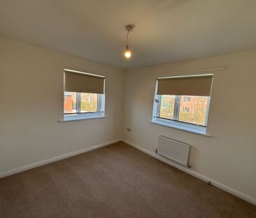 The Steeperton - Photo 3