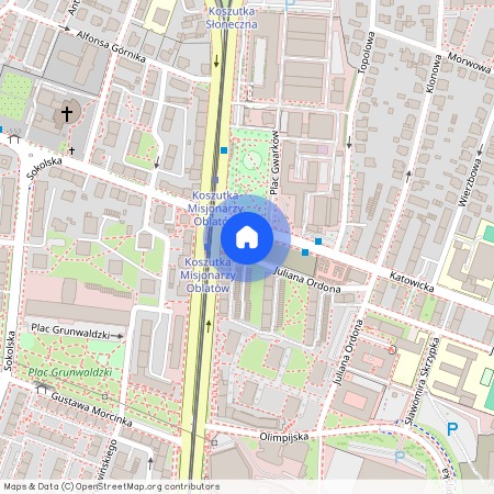 ul. Katowicka 65, Koszutka, Katowice, śląskie