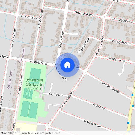 46 Shenton Avenue, NSW 2200, Bankstown