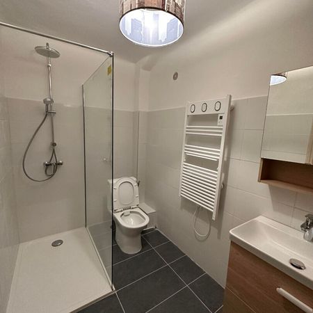 Location Appartement 1 pièce 43m² - Photo 4