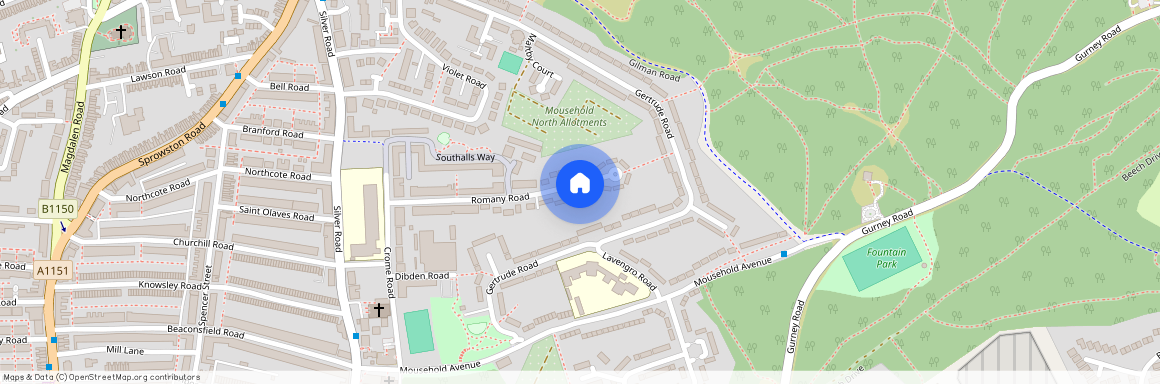 Romany Road - DFL