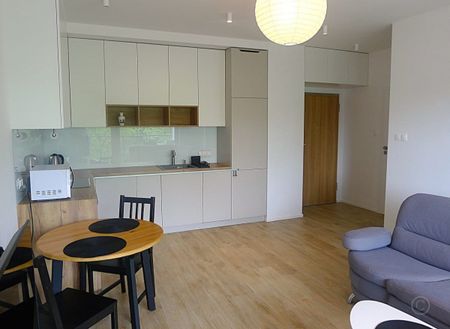 Mieszkanie do wynajęcia 2 pokoje Warszawska, Łódź 42.92 m² - Фото 4