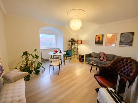 Hyggelig 2-værelses lejlighed med udsigt til Østre Anlæg - Photo 2