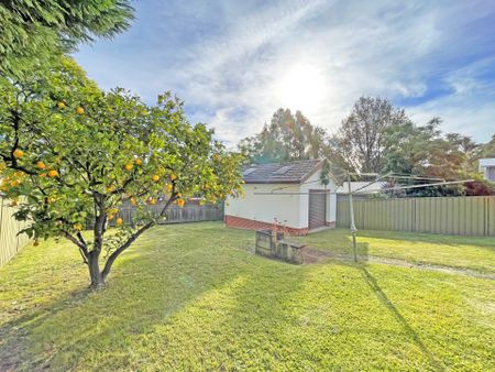 59 Stevens St., Ermington - Photo 4