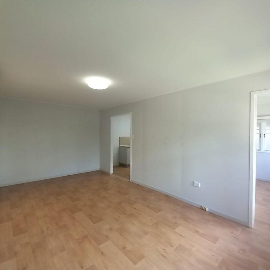 Private & Peaceful Living in the Heart of East Brisbane - Photo 1