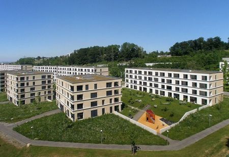 Living close to nature at the gates of Zurich - Photo 2