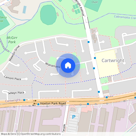 1 Bendigo Place, NSW 2168, Cartwright