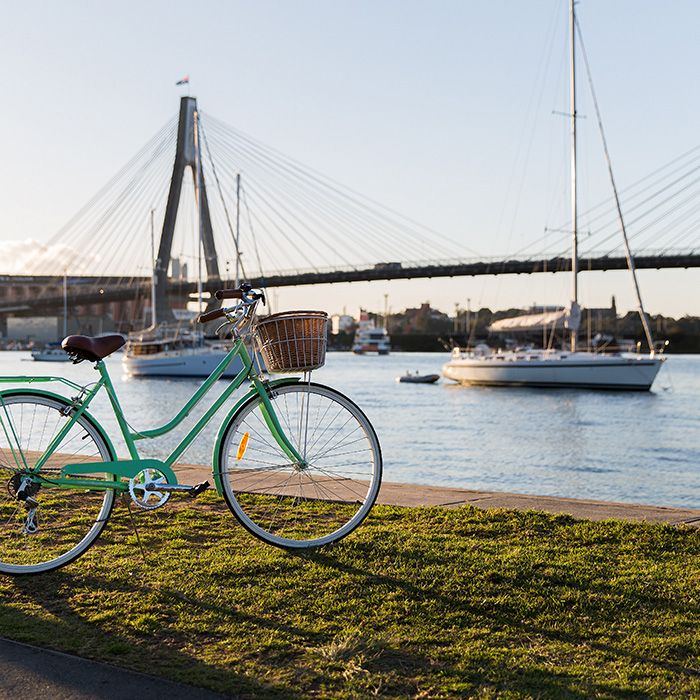 11 Wentworth Street, Glebe NSW 2037 - Apartment For Rent | Domain - Photo 1