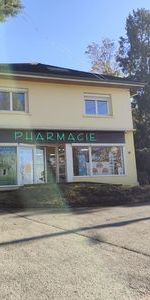 À louer / Appartement F5 et + / BESANCON QUARTIER BREGILLE 58 rue Danton - Photo 4