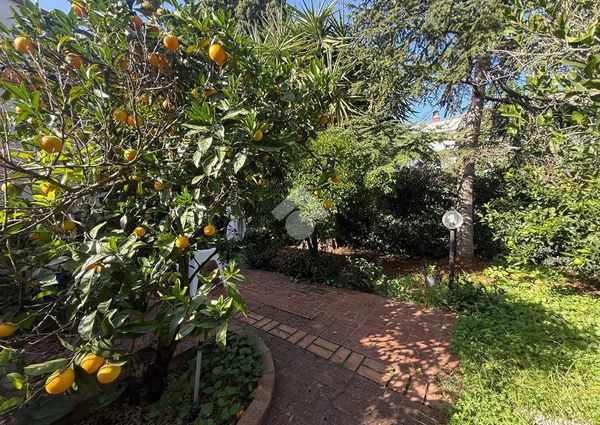 Villa singola in affitto