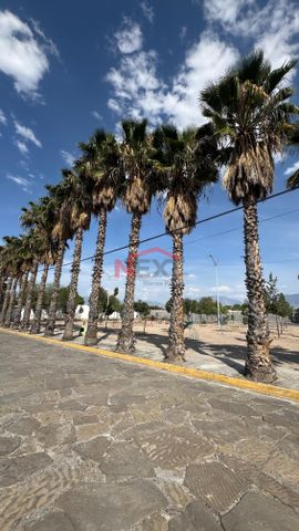 Casa en Renta en Los Rodríguez | Norte de Saltillo | 1 Planta con Jardín y Terraza - Photo 4
